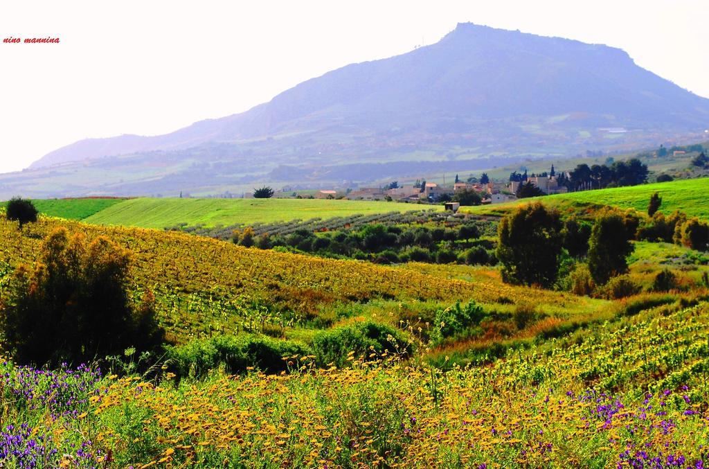 Baglio Montoleone Villa Castelluzzo Dış mekan fotoğraf